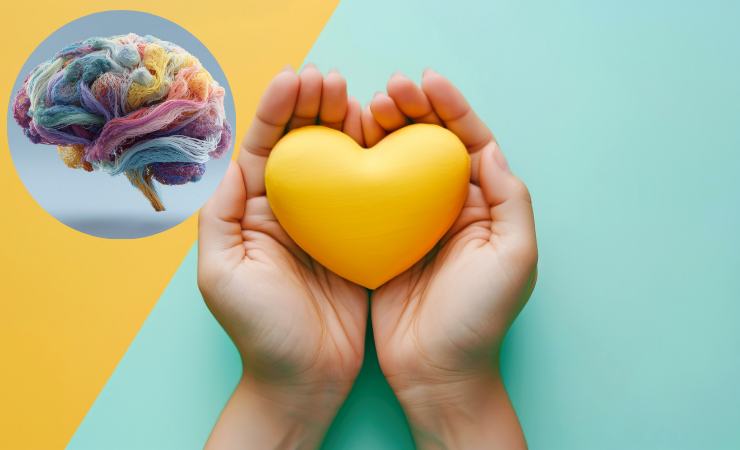 cuore giallo, cervello colorato 