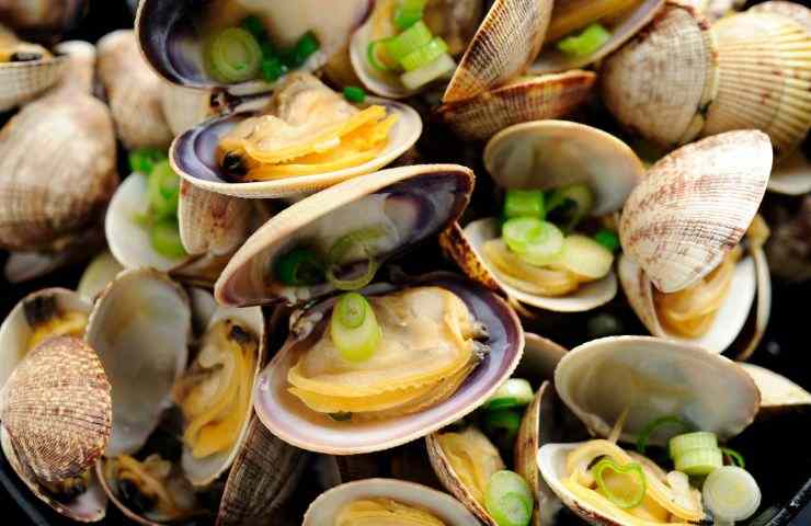 Vongole