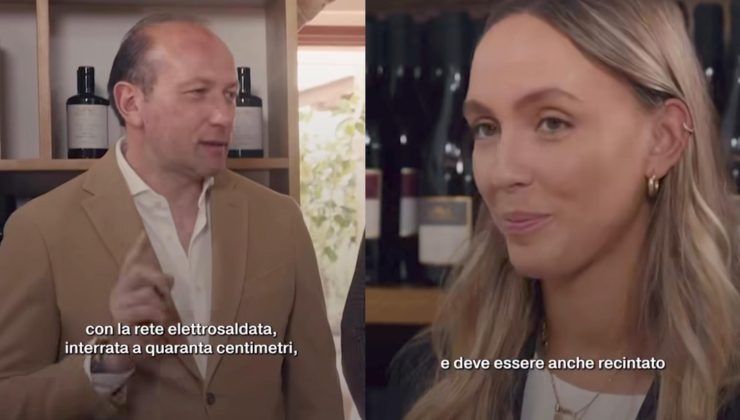 albergatori collage 4 hotel