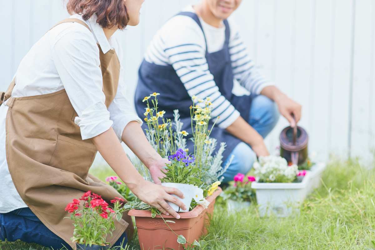 coppia si occupa del giardino