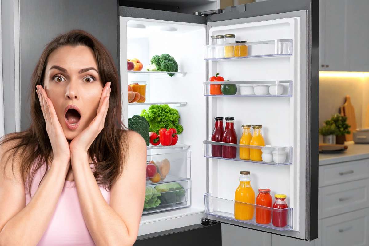 frigorifero pieno, donna sconvolta