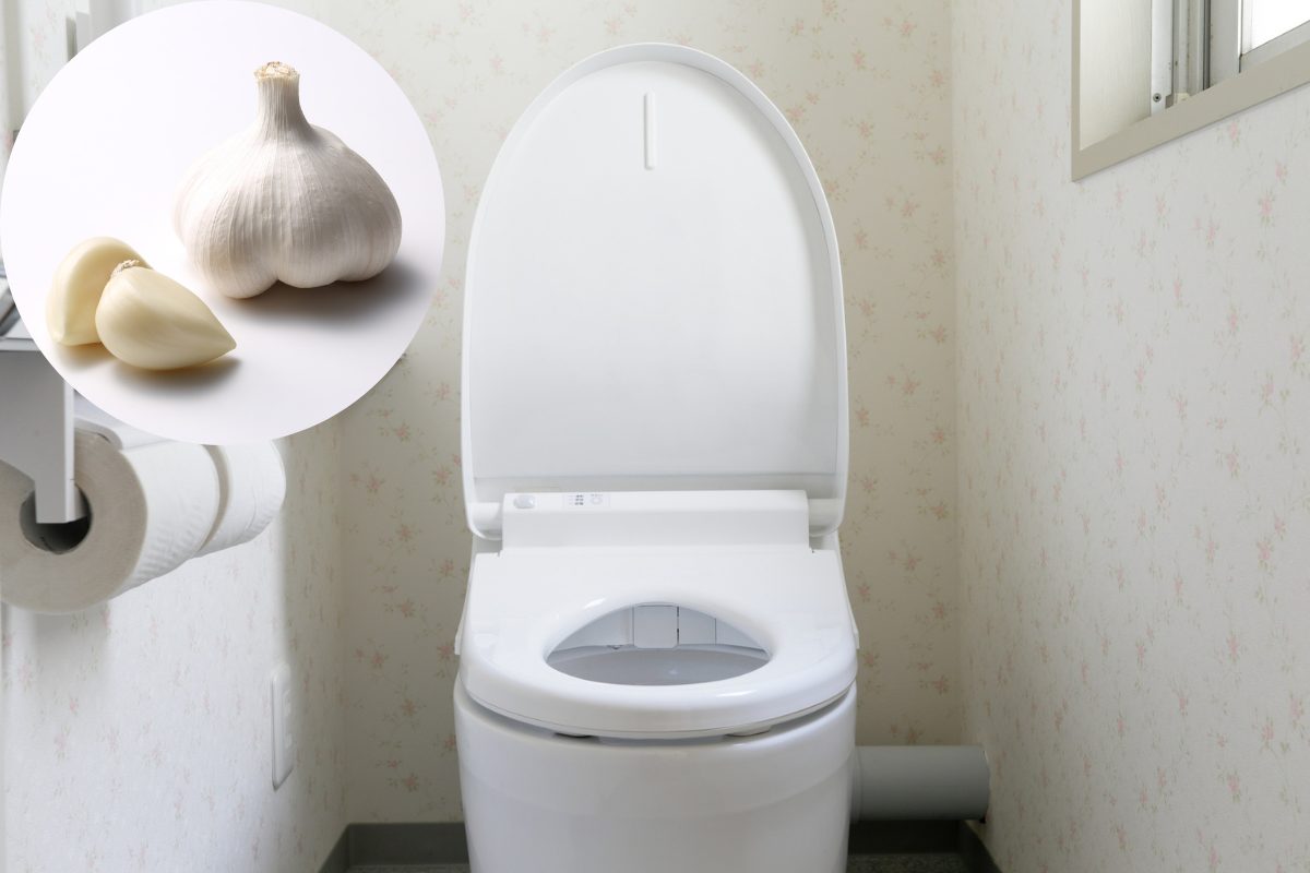 water e spicchi d'aglio in icona