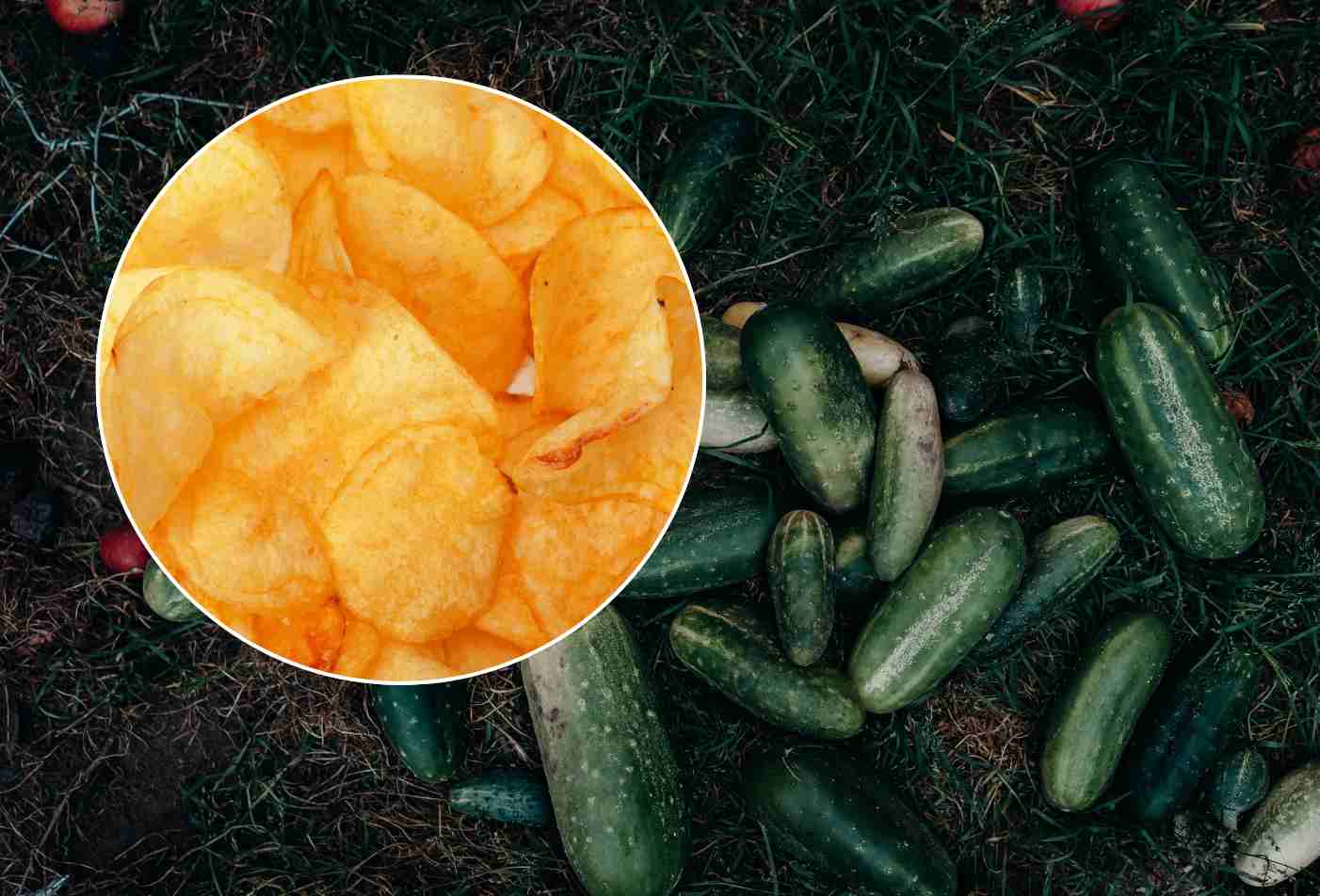 zucchine e chips