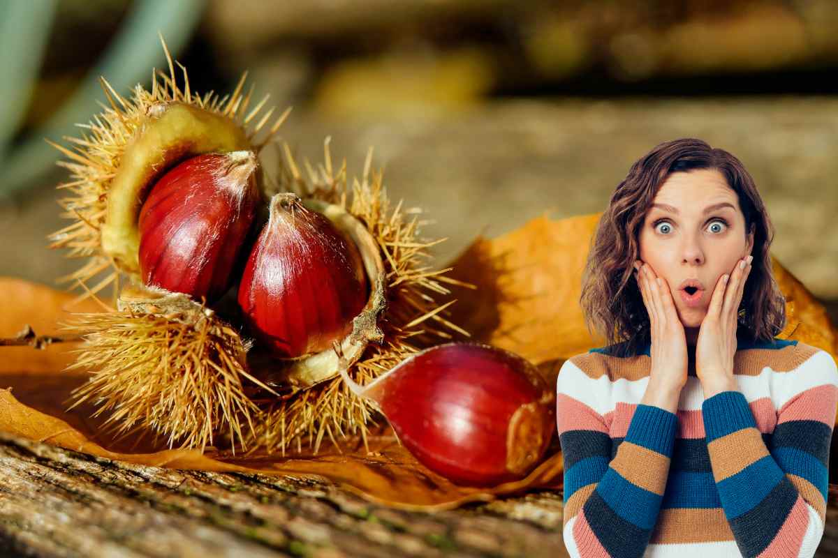 castagne e donna sorpresa