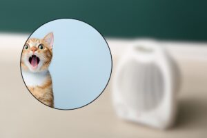 termoventilatore e gatto sorpreso